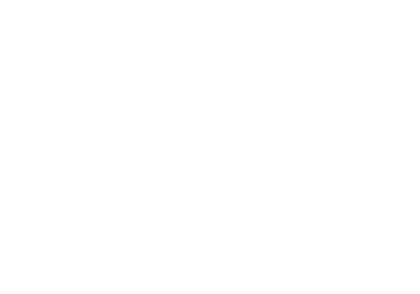 , Salesforce® CRM Specialists, TornCRM