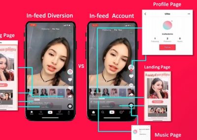 An Overview of TikTok Ads [Infographic]