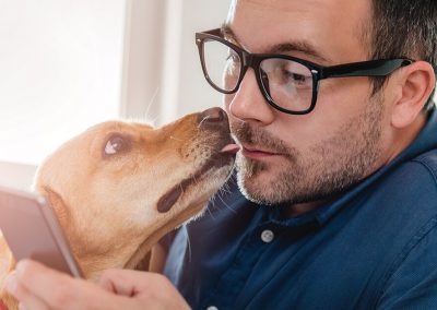 Helpshift Aids VCA in Pet Wellness
