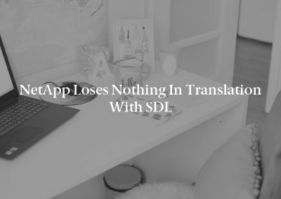 NetApp Loses Nothing in Translation with SDL