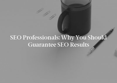 SEO Professionals: Why You Should Guarantee SEO Results